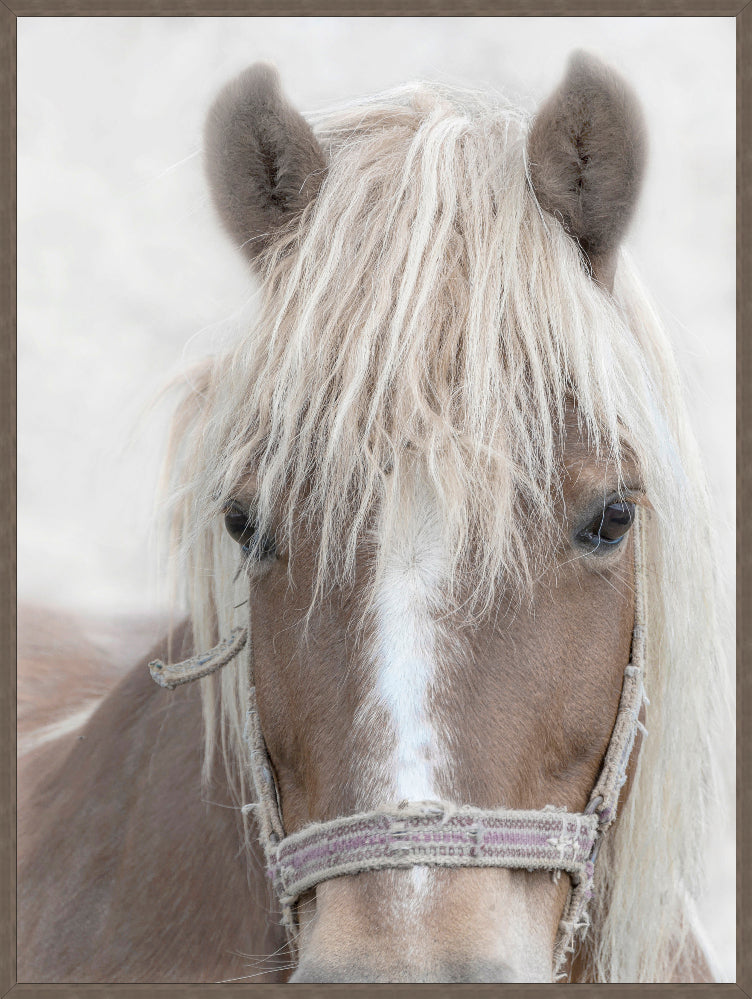 Whispered Mane