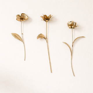 Botanical Wall Sculptures