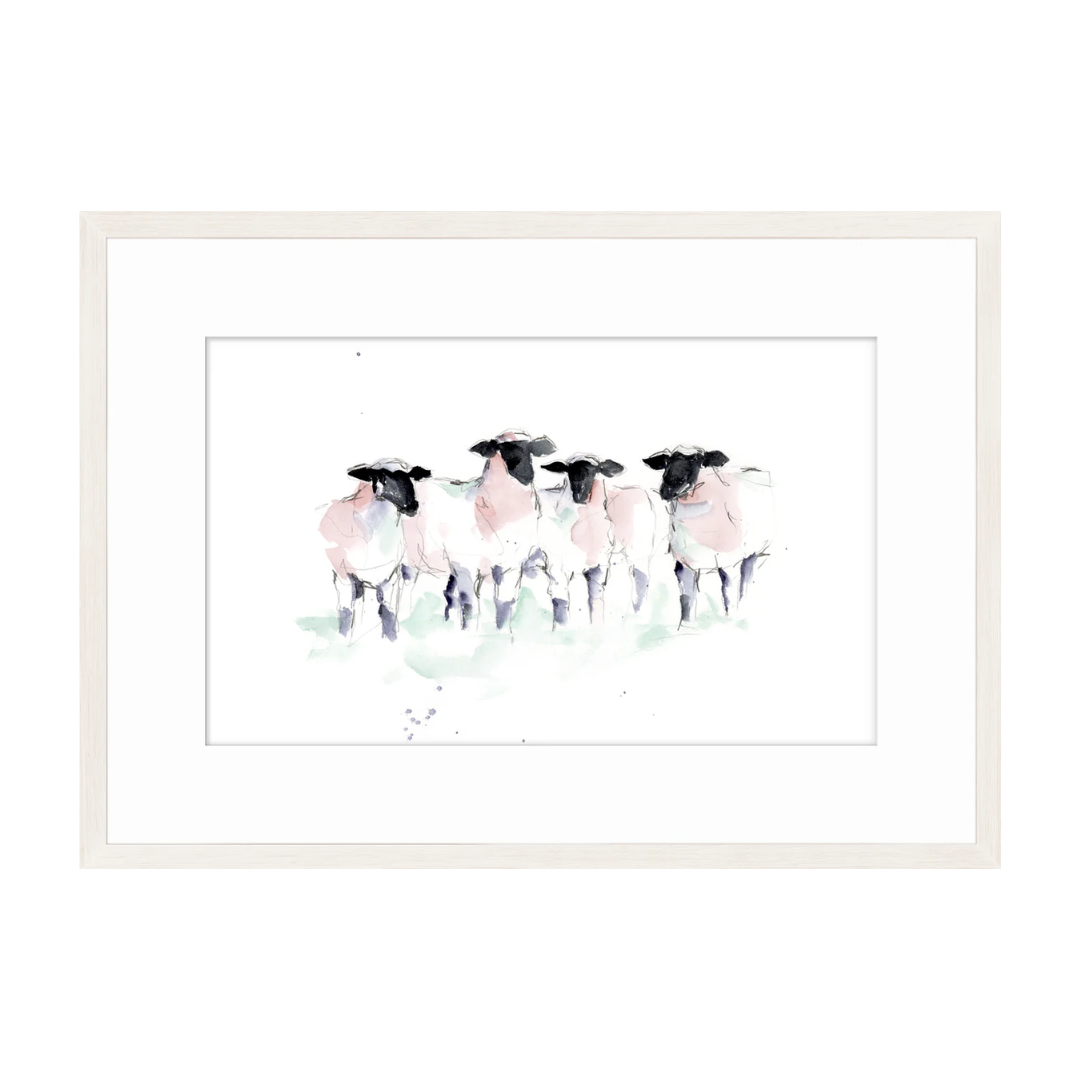 Watercolour Sheep