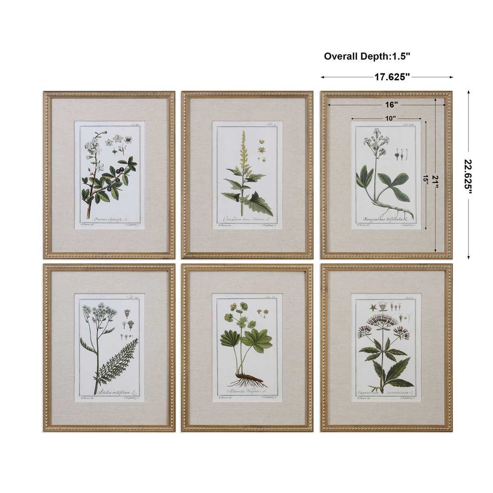 Garden Botanicals
