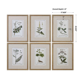 Garden Botanicals