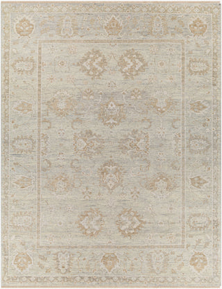 Biscayne Neutral/Slate Rug