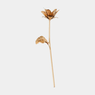 Botanical Wall Sculptures