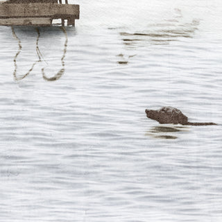 Dogs Dock Days