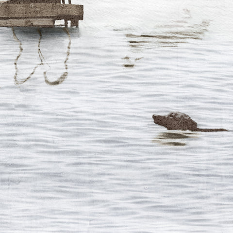 Dogs Dock Days