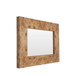 Saul Mirror