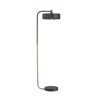 Aaron One Light Floor Lamp
