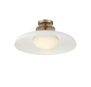 Gavin One Light Semi-Flush Mount