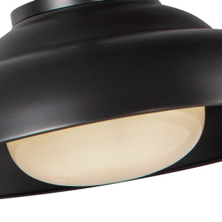 Palmetto One Light Pendant