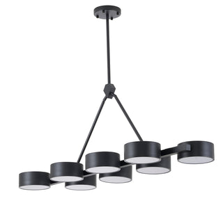 Pasco Chandelier