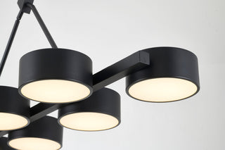 Pasco Chandelier