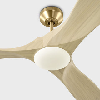 Maverick 52" Ceiling Fan