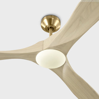 Maverick 70" Ceiling Fan