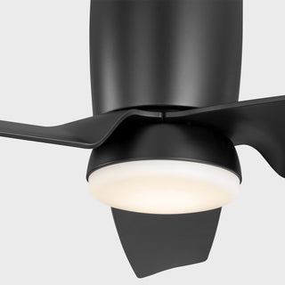Colgin 56" Ceiling Fan