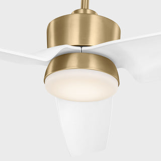 Colgin 56" Ceiling Fan