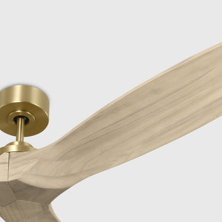 Collins 70" Ceiling Fan
