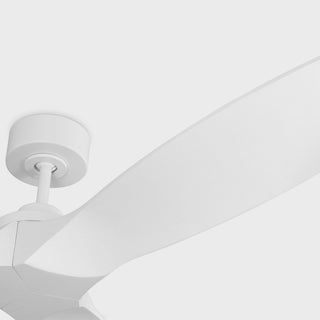 Collins 70" Ceiling Fan