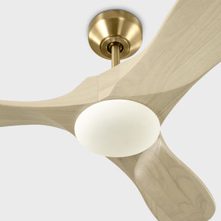 Maverick 44" Ceiling Fan