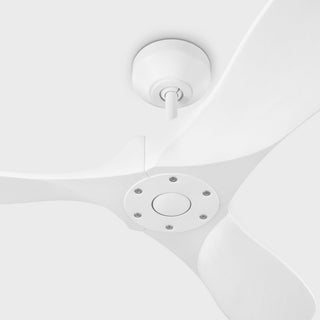 Maverick 44" Ceiling Fan