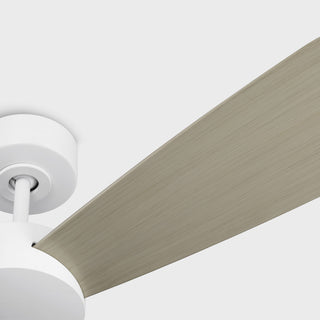 Paddle 52" Ceiling Fan