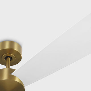 Paddle 60" Ceiling Fan