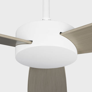 Paddle 60" Ceiling Fan