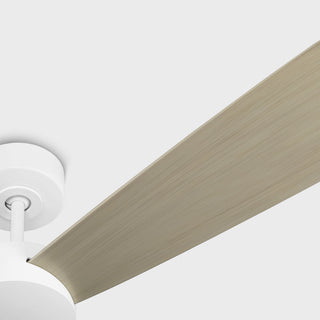 Paddle 60" Ceiling Fan