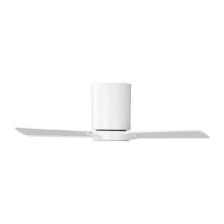 Rozzen 32" Ceiling Fan