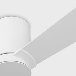 Rozzen 32" Ceiling Fan