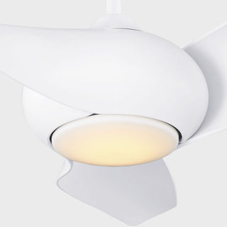 Topan 52" Ceiling Fan