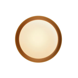 Bond One Light Wall Sconce