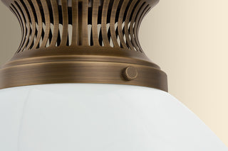 Bruceville One Light Pendant