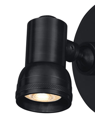Patterson Picture Light