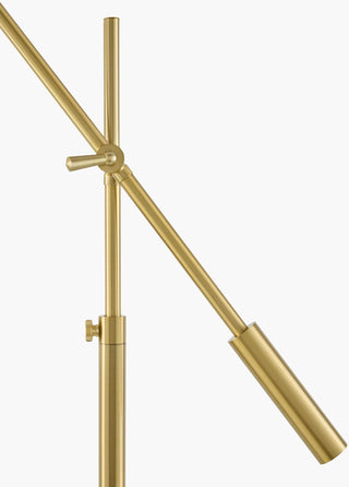 Peter Task Floor Lamp
