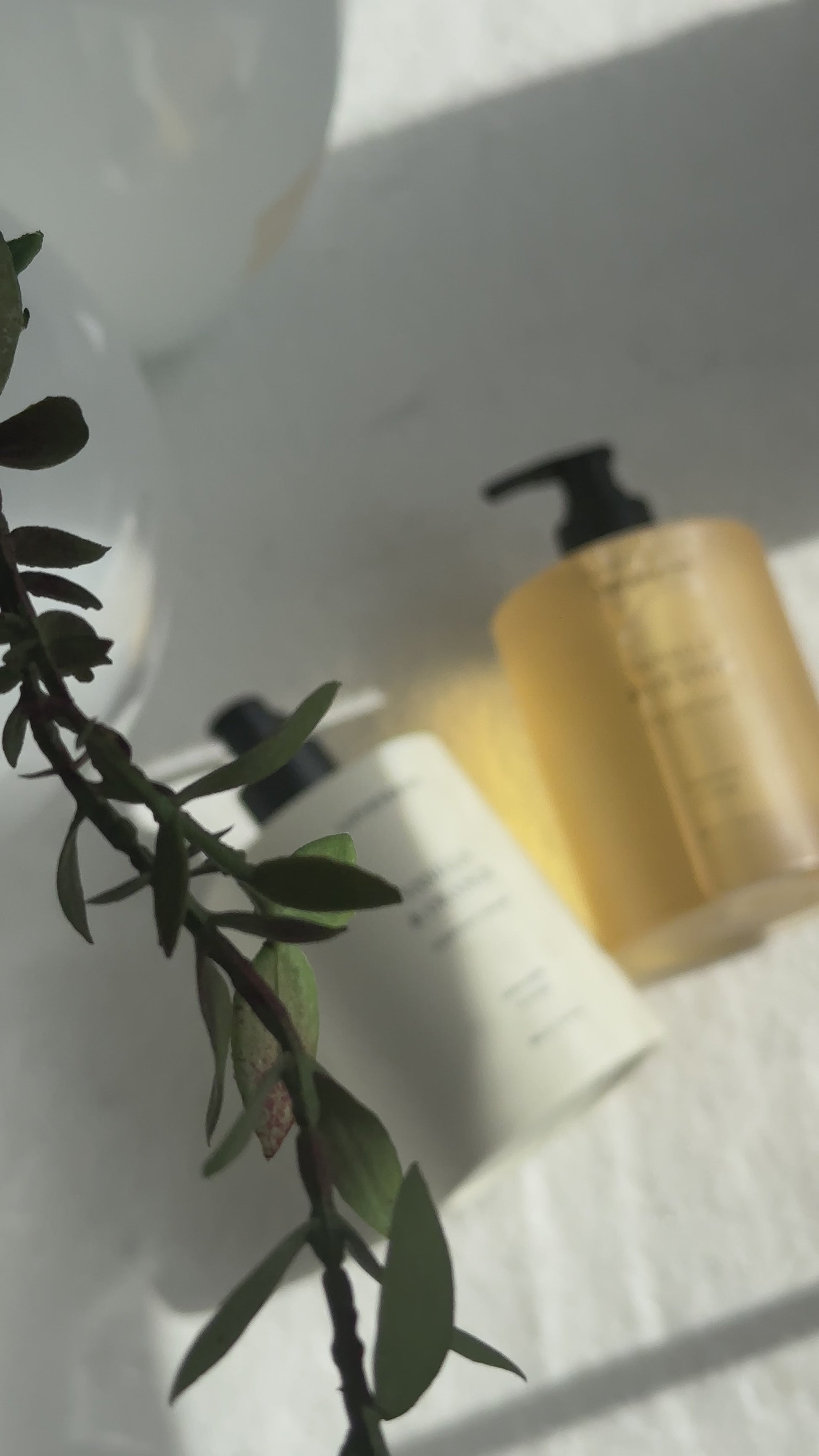 Everyday Cream - Vanilla & Orange, LOVEFRESH