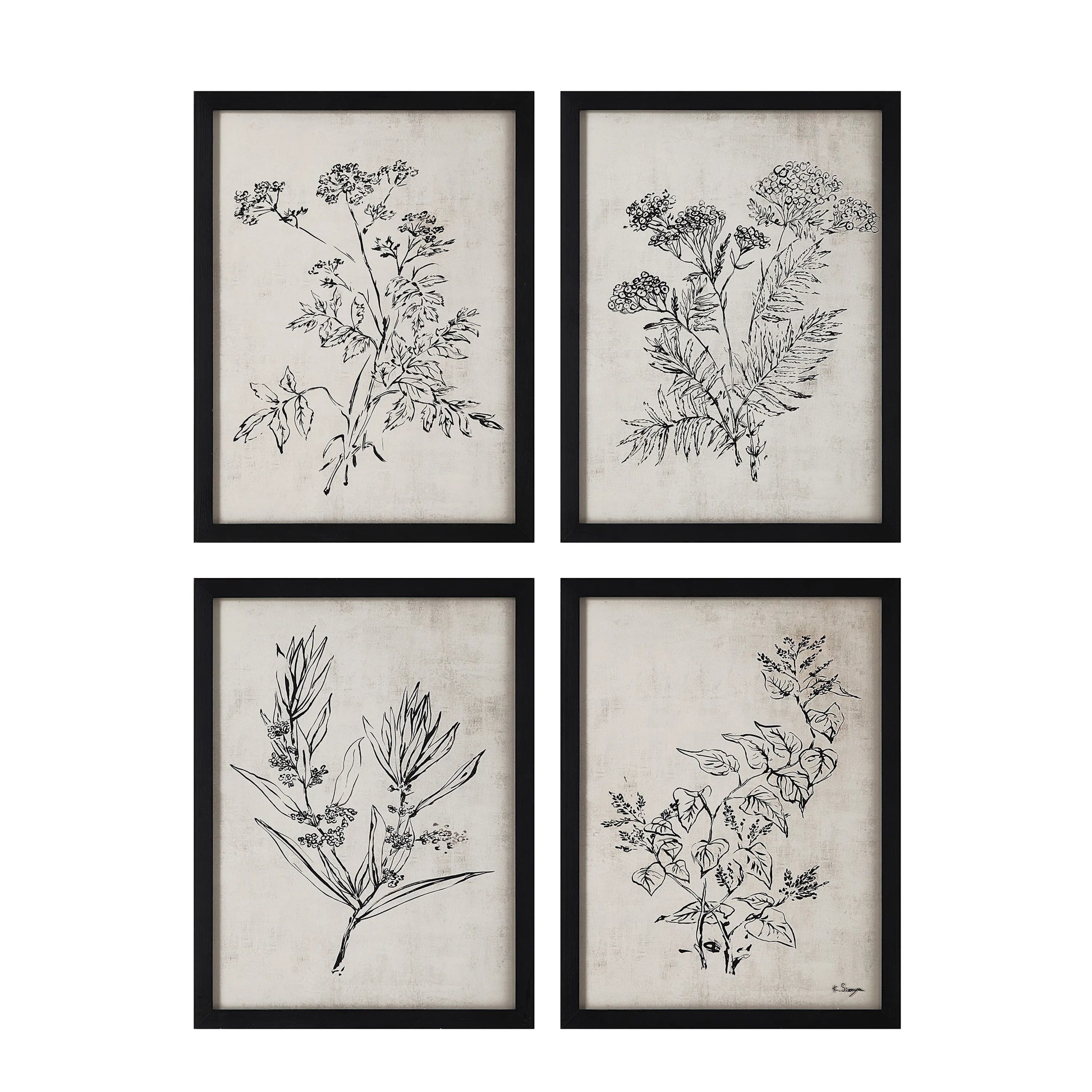 Floral Prints, Set of 4