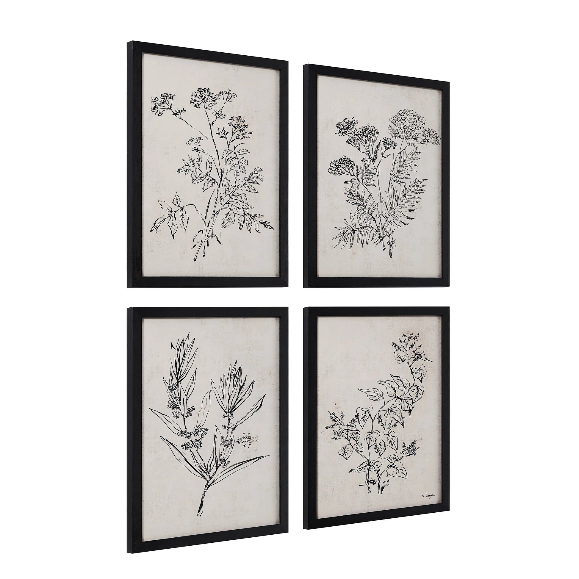 Floral Prints, Set of 4