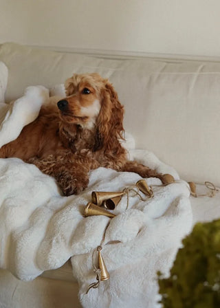 Faux Fur Blanket