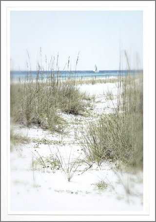 Salt And Sand III