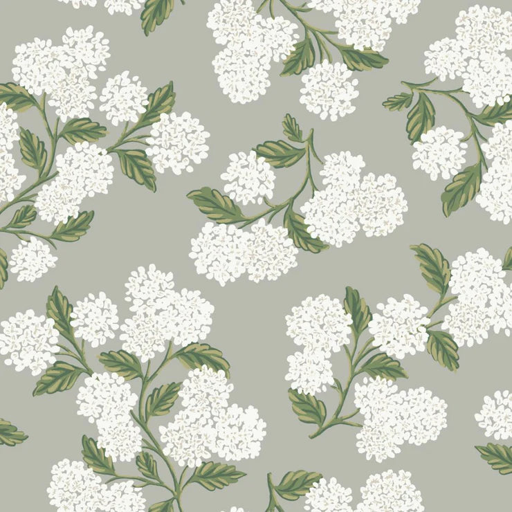 Hydrangea Dreaming Wallpaper, Grey