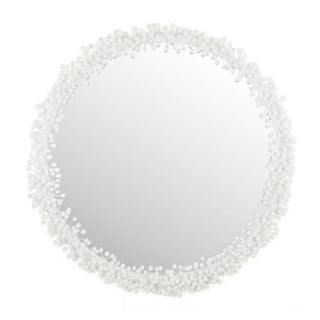 Berry Cluster Mirror