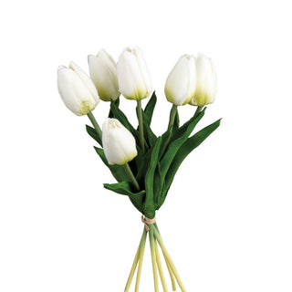Tulip Bundle